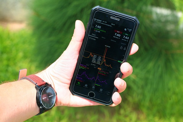 I Segreti dell’Investimento: Come Crescere il Proprio Capitale